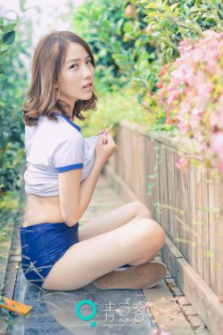 龙年档案 电视剧
